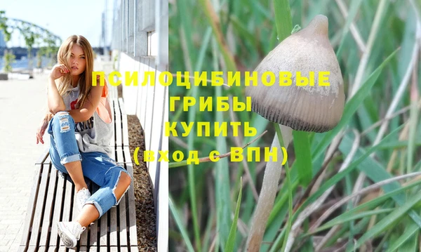СК Волоколамск