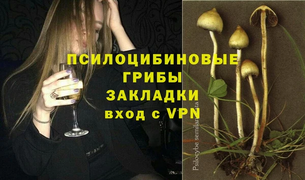 PSILOCYBIN Володарск