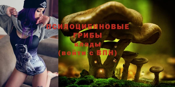 твердый Янаул
